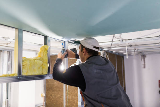 Best Cellulose Insulation in Olcott, NY