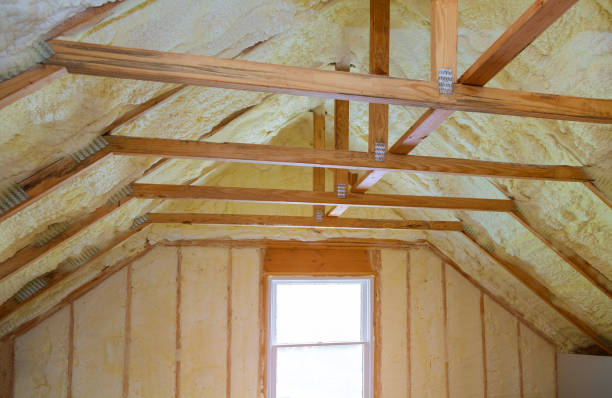 Best Eco-Friendly Insulation in Olcott, NY
