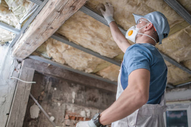 Best Residential Insulation in Olcott, NY